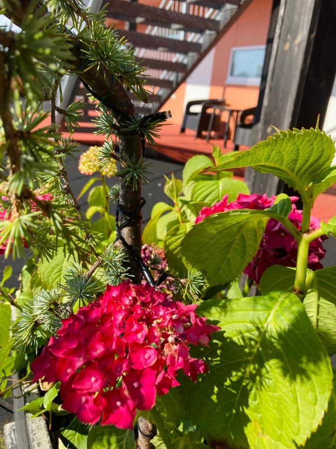 Flotmyrgarden Apartment Hotel Haugesund Dış mekan fotoğraf